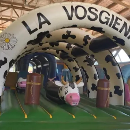 6/8 Pers Le Petit Bertin Apartment La Bresse