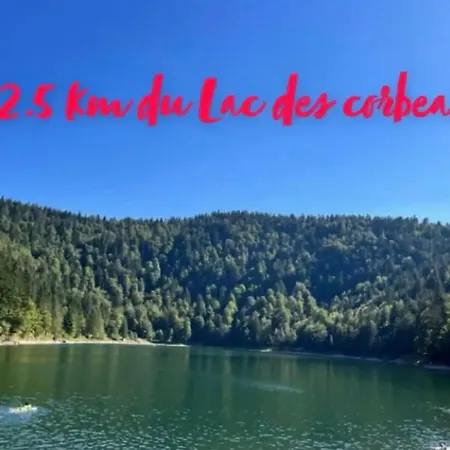 6/8 Pers Le Petit Bertin La Bresse