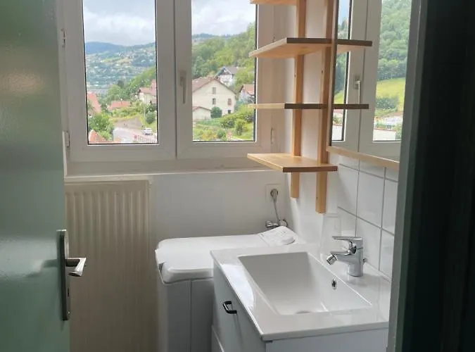 6/8 Pers Le Petit Bertin Apartment La Bresse