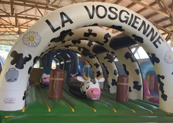 6/8 Pers Le Petit Bertin Apartment La Bresse